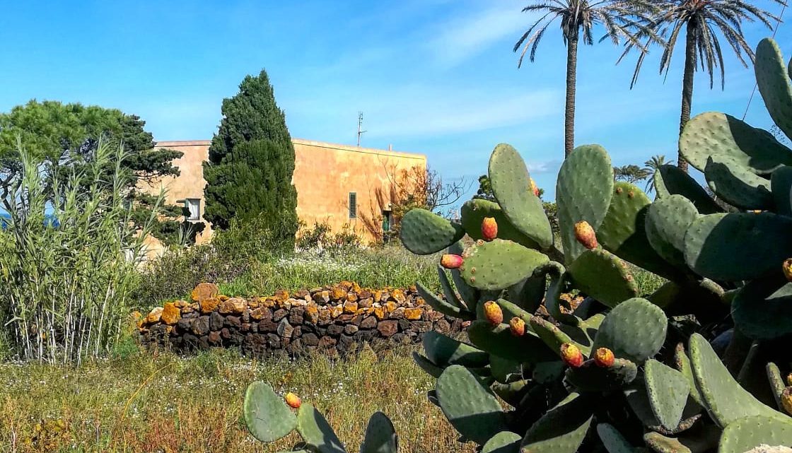 Pantelleria - Foto di Tommaso Brignone