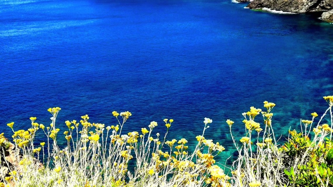 Pantelleria - Foto di Tommaso Brignone