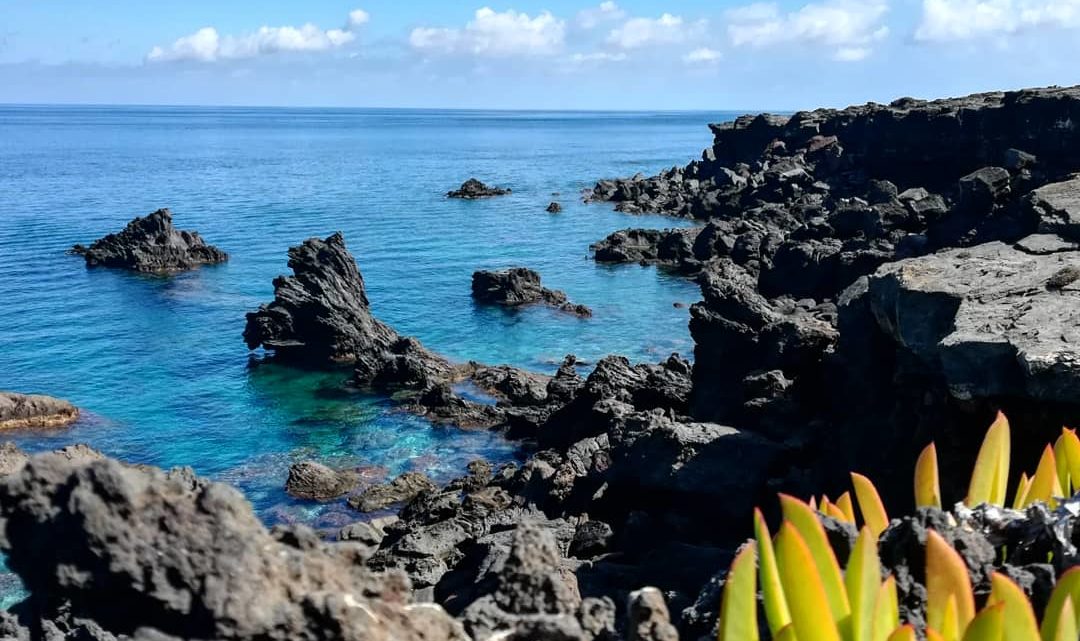 Progetto green Pantelleria - Foto di Tommaso Brignone