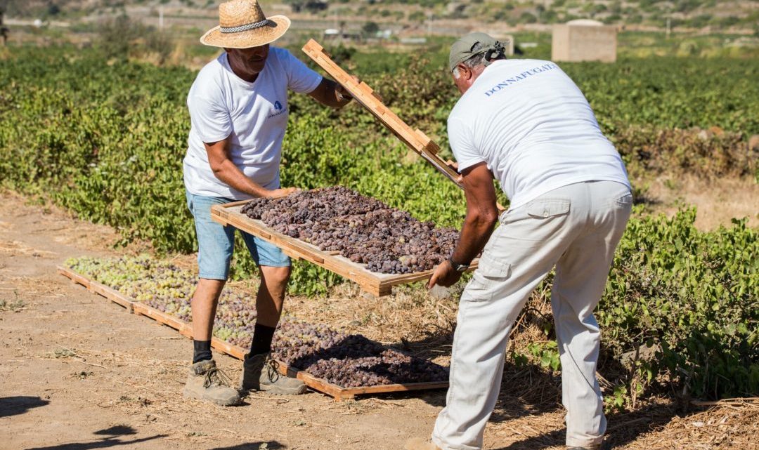 viddrano pantelleria