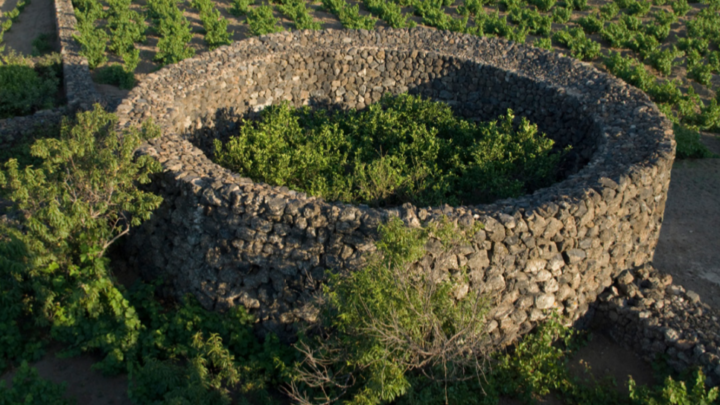 Giardino Pantesco, approvato l’avvio del percorso verso la candidatura UNESCO