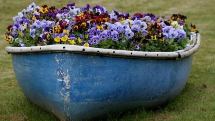 Pantelleria: la Guardia Costiera lancia l’idea del ‘relitto da giardino’