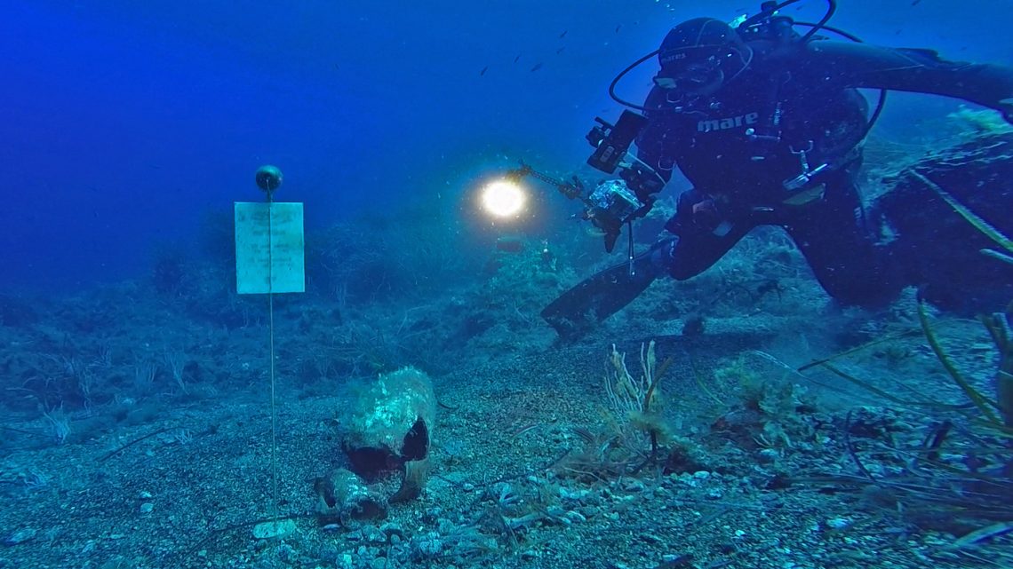 TDC, Area Marina Protetta: partecipare sì, ma su quale progetto?