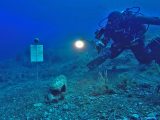 TDC, Area Marina Protetta: partecipare sì, ma su quale progetto?