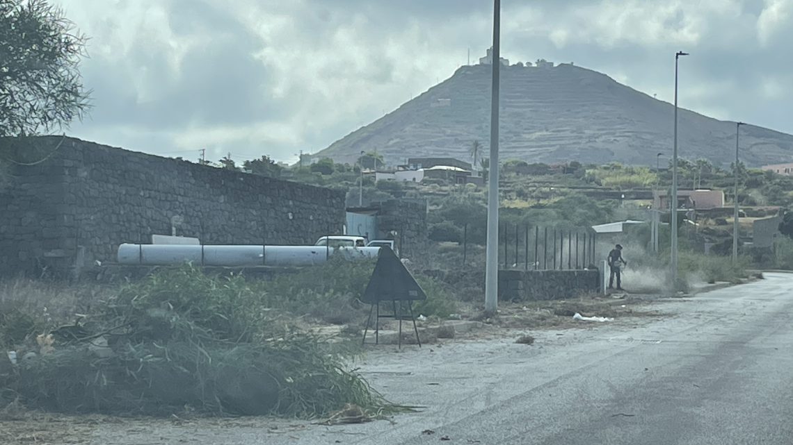 diserbo pantelleria