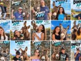 DONKEY APP, DA PANTELLERIA ASINABILE UNA COMMEDIA CHE VUOLE IL&nbsp;BIS