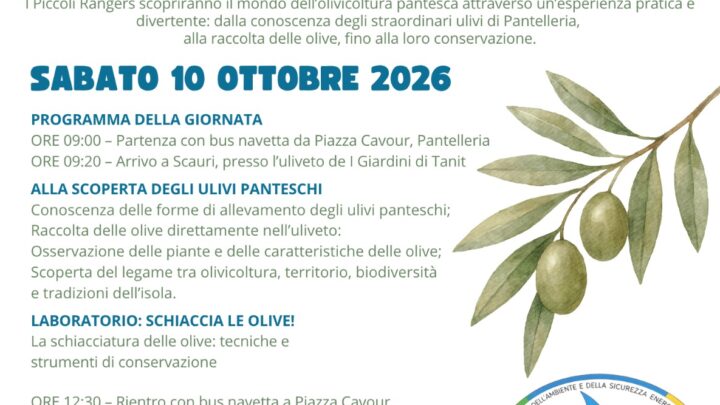 “Schiaccia le olive!”: i Piccoli Ranger del Parco alla scoperta dell’olivocoltura