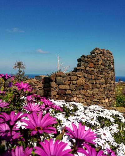Pantelleria - Foto di Tommaso Brignone