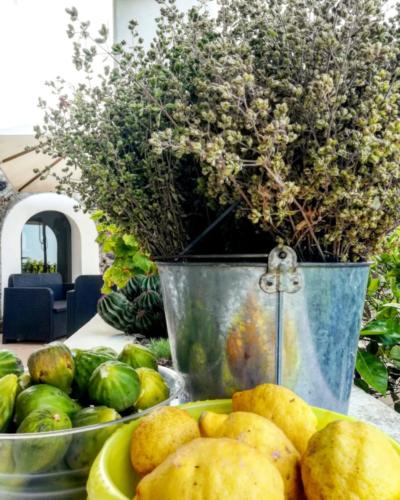 Pantelleria - Foto di Tommaso Brignone
